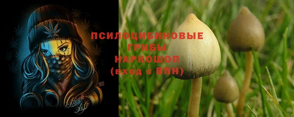 мяу мяу мука Верхнеуральск
